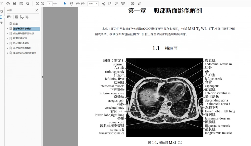 图片[2]-腹部影像解剖图谱_PDF图书下载_华佳 编超清PDF电子书下载 书签直达