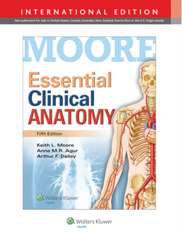 图片[1]-【中英文】临床解剖学精要（第五版）彩色PDF电子书扫描版下载-医学电子书